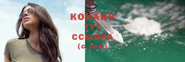 экстази Ельня