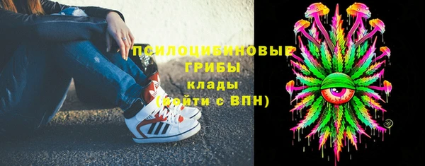 экстази Ельня