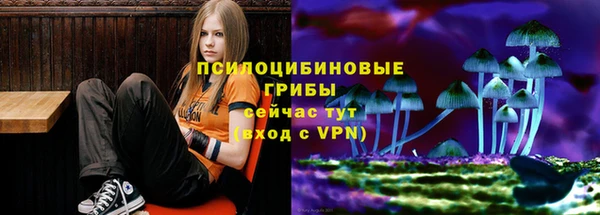 экстази Ельня