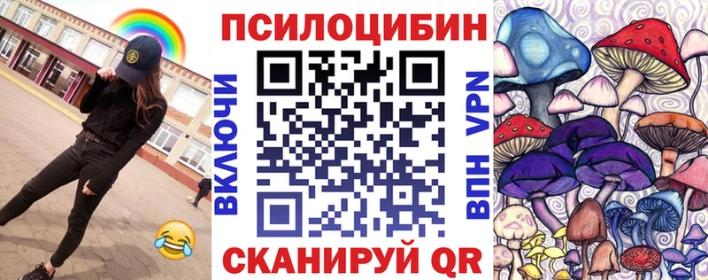 Купить закладки  Бирюсинск  Галлюциногенные грибы Psilocybine cubensis 